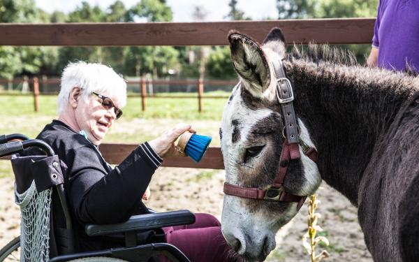 Vrouw in rolstoel verzorgt een ezeltje