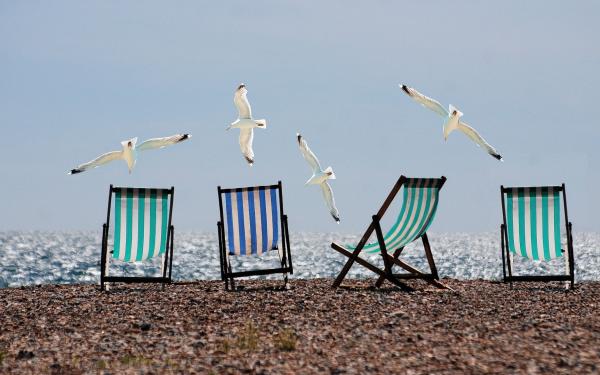 strandstoelen en meeuwen op het strand