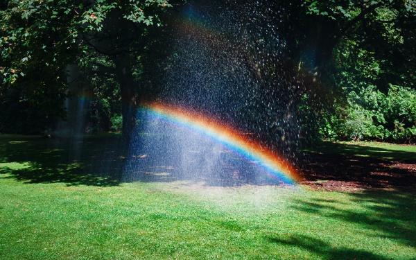 Regenboog in het midden van een park