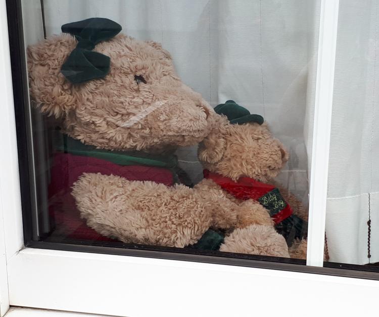 Twee teddyberen achter het venster