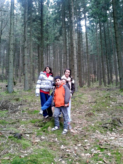 Kinderen in een bos